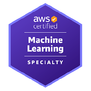 cat certification academy - AWS Machine Learning – Specialty