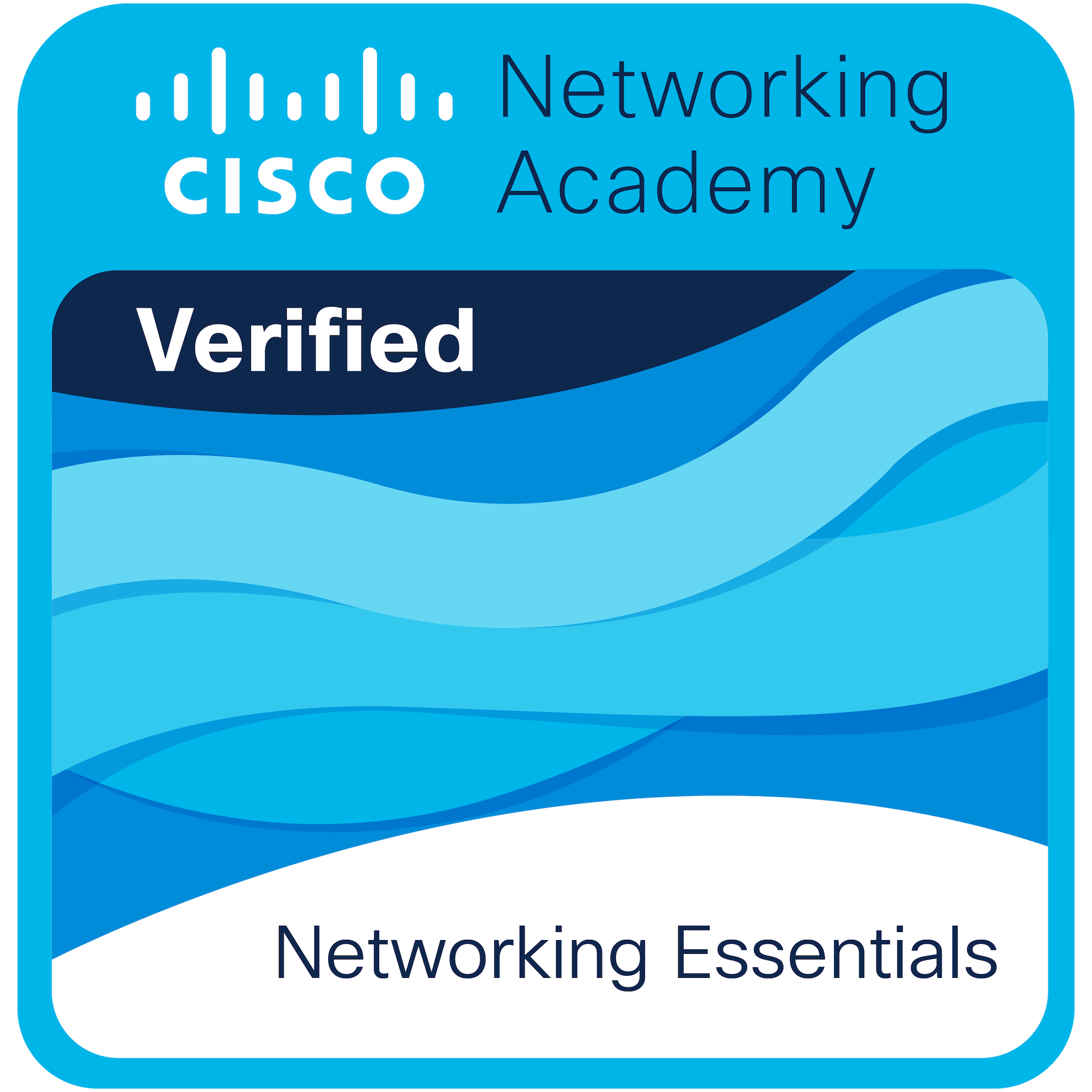 cat certification academy - Networking Essentials